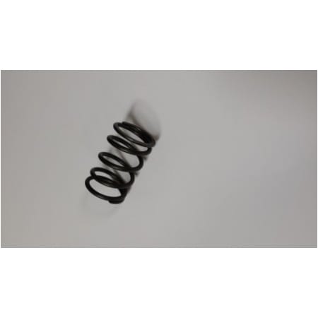 Kohler Spring Valve 17 089 52-S